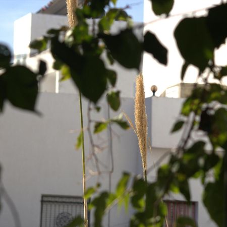 Residence Sterne Hammam al Ghazzaz ภายนอก รูปภาพ